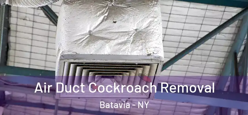 Air Duct Cockroach Removal Batavia - NY