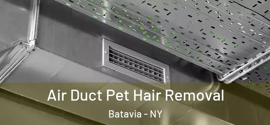  Air Duct Pet Hair Removal Batavia - NY