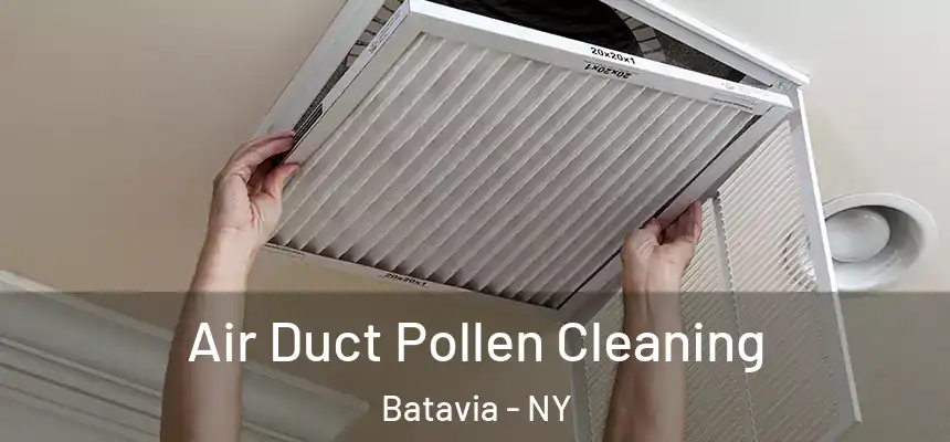 Air Duct Pollen Cleaning Batavia - NY