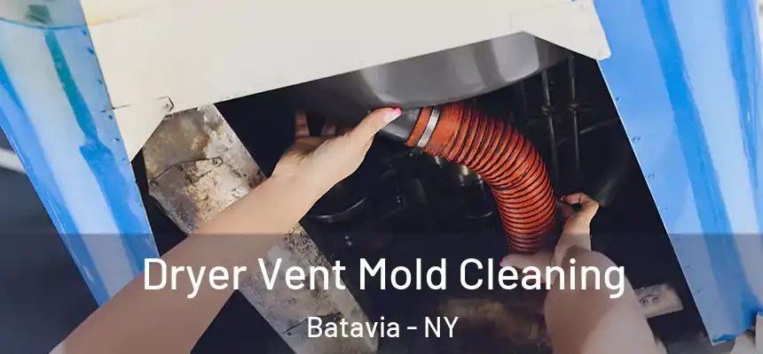  Dryer Vent Mold Cleaning Batavia - NY