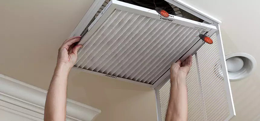 Preventive Cockroach-Proofing for Ducts in Batavia