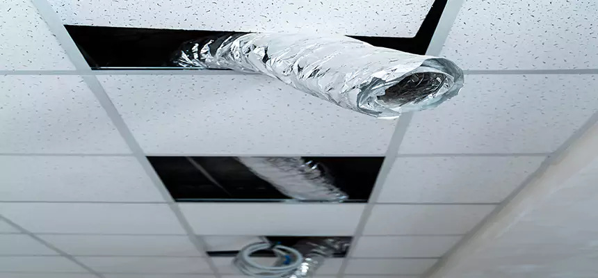 Our Air Duct Pet Hair Removal Services in Batavia, NY