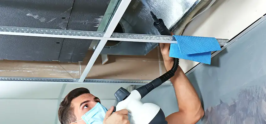 Our Air Duct Rodent Removal Services in Batavia, NY