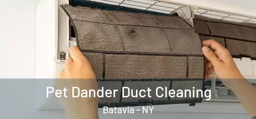  Pet Dander Duct Cleaning Batavia - NY