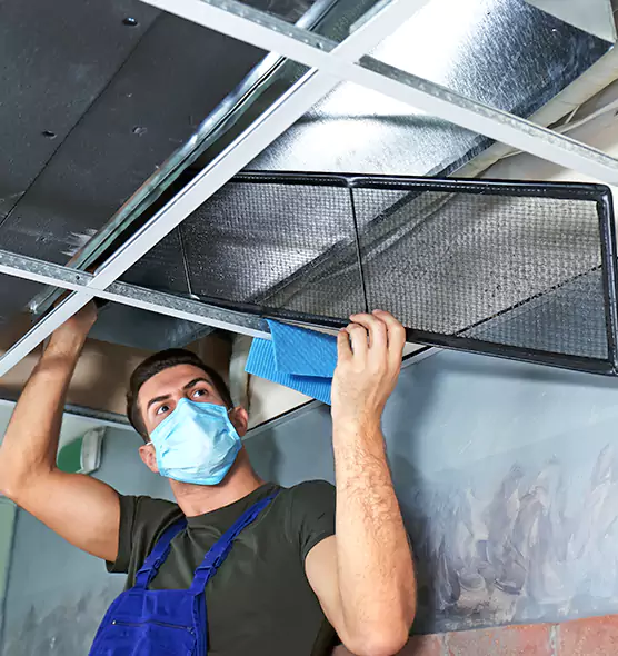 Professional Air Duct Pollen Cleaning in Batavia, NY